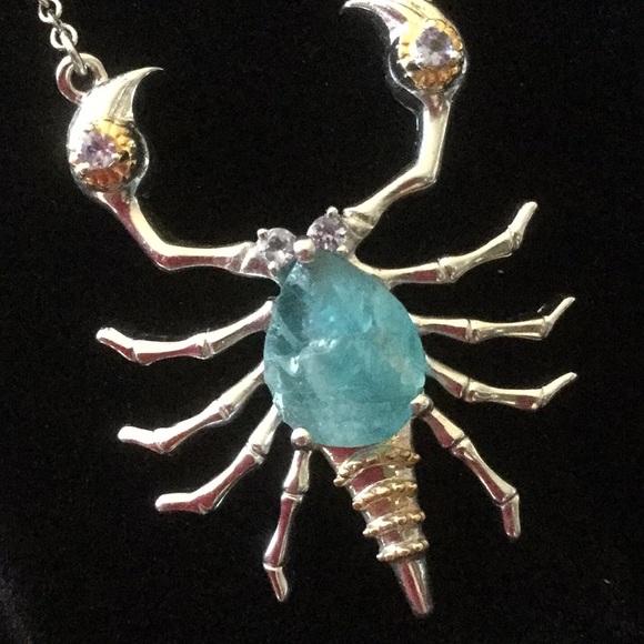 Exquisite Genuine Fluorite & Tanzanite Scorpion - Picture 6 of 8